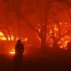 Wildfires in Los Angeles kill 24, dozens missing as dangerous winds fuel destruction