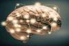 Two Brain Systems Found Malfunctioning In People With Psychosis: Study