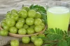 Try this easy recipe to extract healthy, fresh amla juice at home; know health benefits