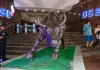 2025 Sensex, Nifty open flat as selling continues, experts say markets may remain volatile till February 2025