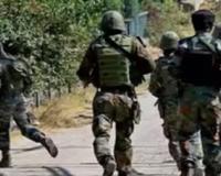 J&K: Forces Foil Infiltration Bid At LoC, Kill 2 Terrorists