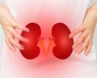 Staying active to staying hydrated: 6 steps to take care of your kidneys during winters