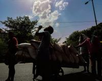 Odisha, Uttar Pradesh And West Bengal Top Three States Observing Maximum Number Of Heatwaves Days: Centre