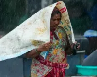 Delhi weather update: Light rain, fog blanket national capital; IMD predicts more showers