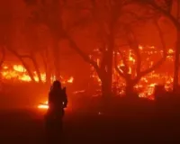 Wildfires in Los Angeles kill 24, dozens missing as dangerous winds fuel destruction