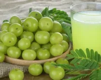 Try this easy recipe to extract healthy, fresh amla juice at home; know health benefits